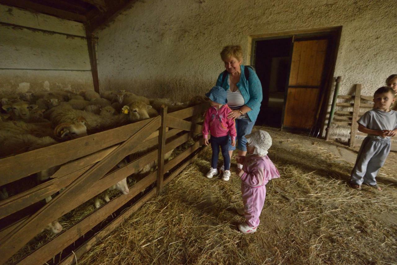 Bio Farma & Penzion Zlaty Hyl Jászóújfalu Kültér fotó