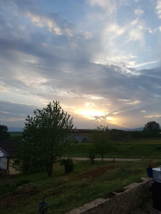 Bio Farma & Penzion Zlaty Hyl Jászóújfalu Kültér fotó