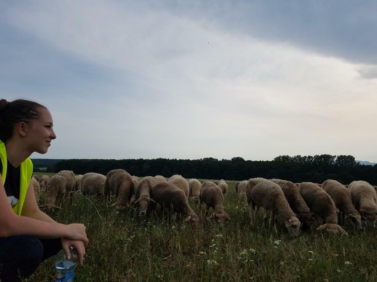 Bio Farma & Penzion Zlaty Hyl Jászóújfalu Kültér fotó