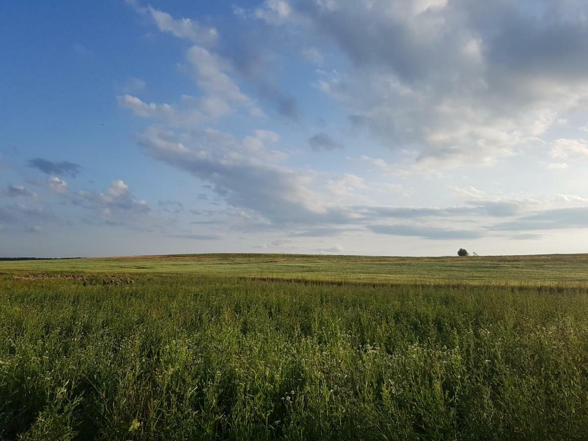 Bio Farma & Penzion Zlaty Hyl Jászóújfalu Kültér fotó